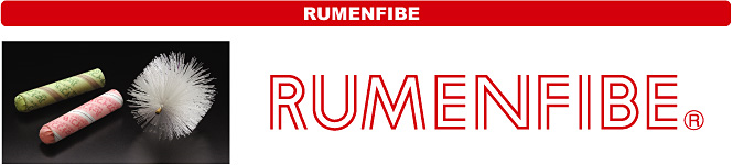 Rumenfibe