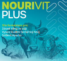 Nourivit Plus