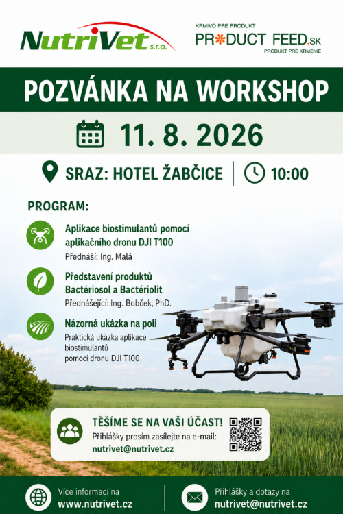Pozvánka na workshop